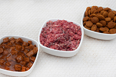 ワンちゃん様フード